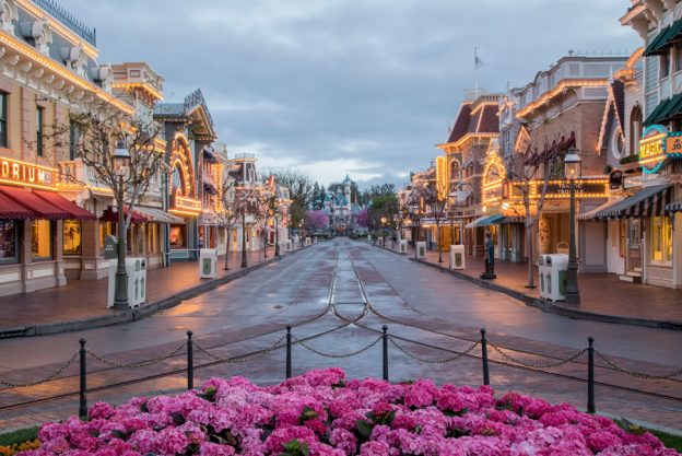 Of Voters Will Miss Disneyland Annual Passholder Program Theme