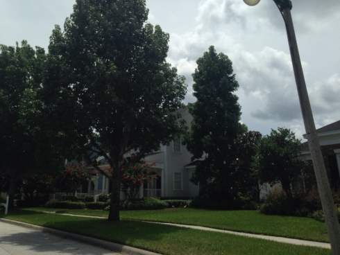 Celebration's Neighborhood Streets