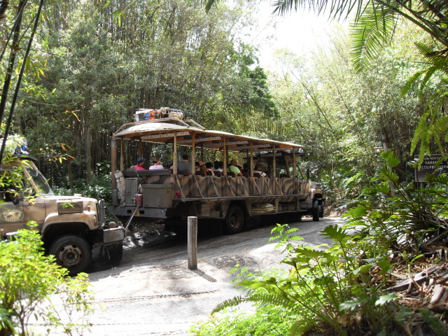 Kilimanjaro Safaris