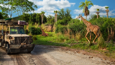 Kilimanjaro Safaris