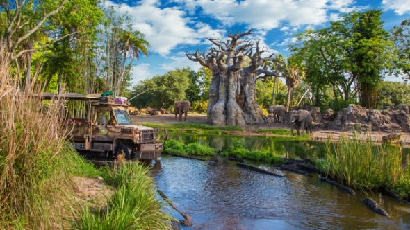 Kilimanjaro Safaris