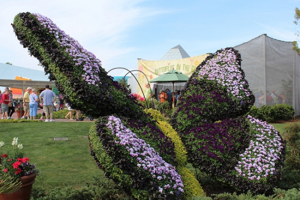 Epcot Flower and Garden