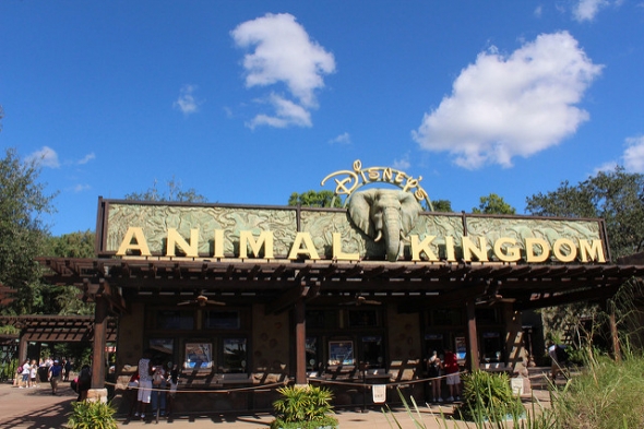 Disney's Animal Kingdom