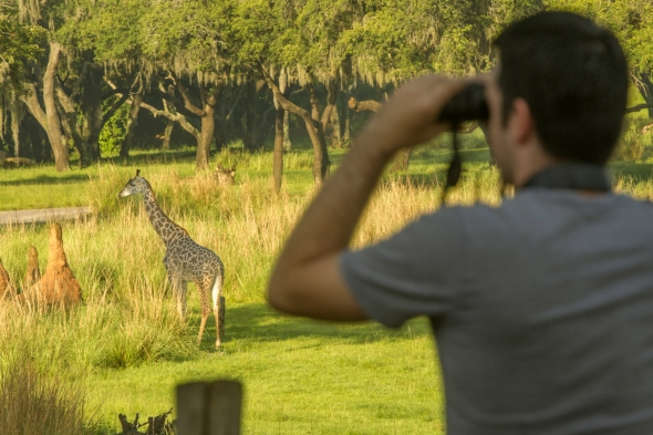 Wild Africa Trek at Animal Kingdom