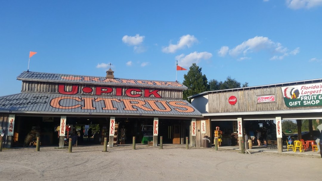 Showcase of Citrus Country Store