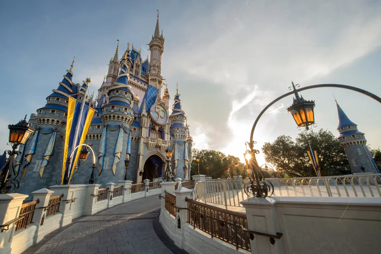 Magic Kingdom castle, Disney