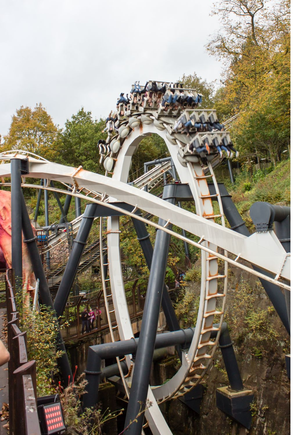 Nemesis loop